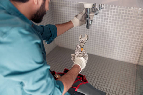 Best Drain Cleaning & Maintenance in New Haven, IN